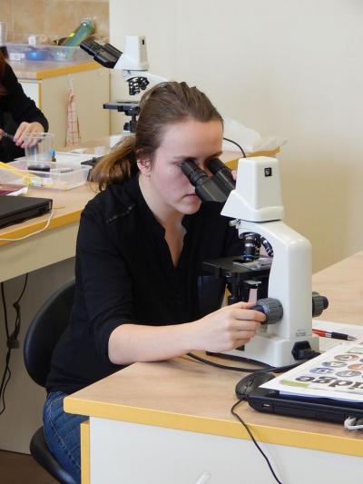 Školní kolo Biologické olympiády kategorie A a B, 17. 2. 2016, praktický úkol, (foto Pavel Groh)